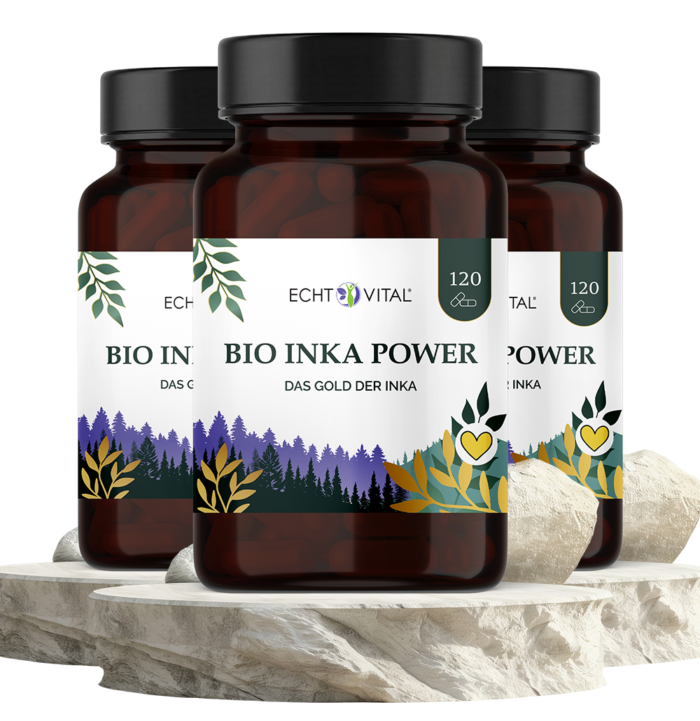 Bio Inka Power - Amaranth & Quinoa - ECHT VITAL Premium Qualität